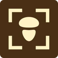 Fungus - Identificatie van sch